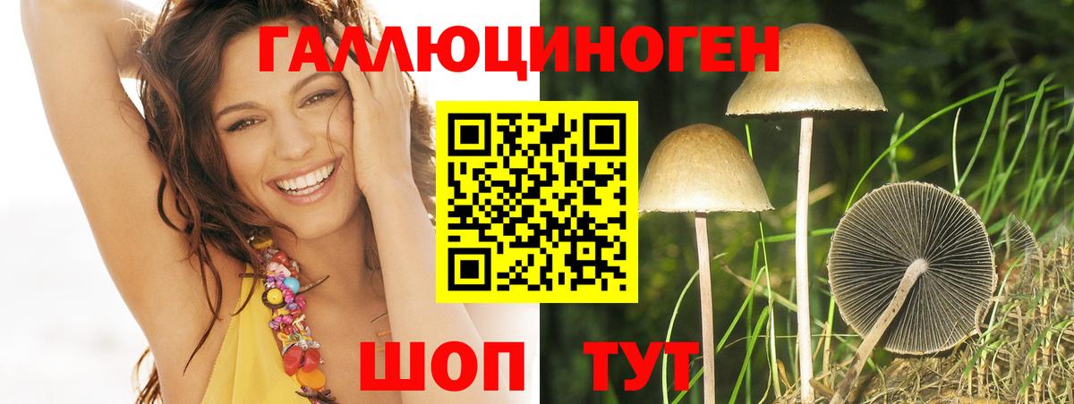 Псилоцибиновые грибы Magic Shrooms Горно-Алтайск